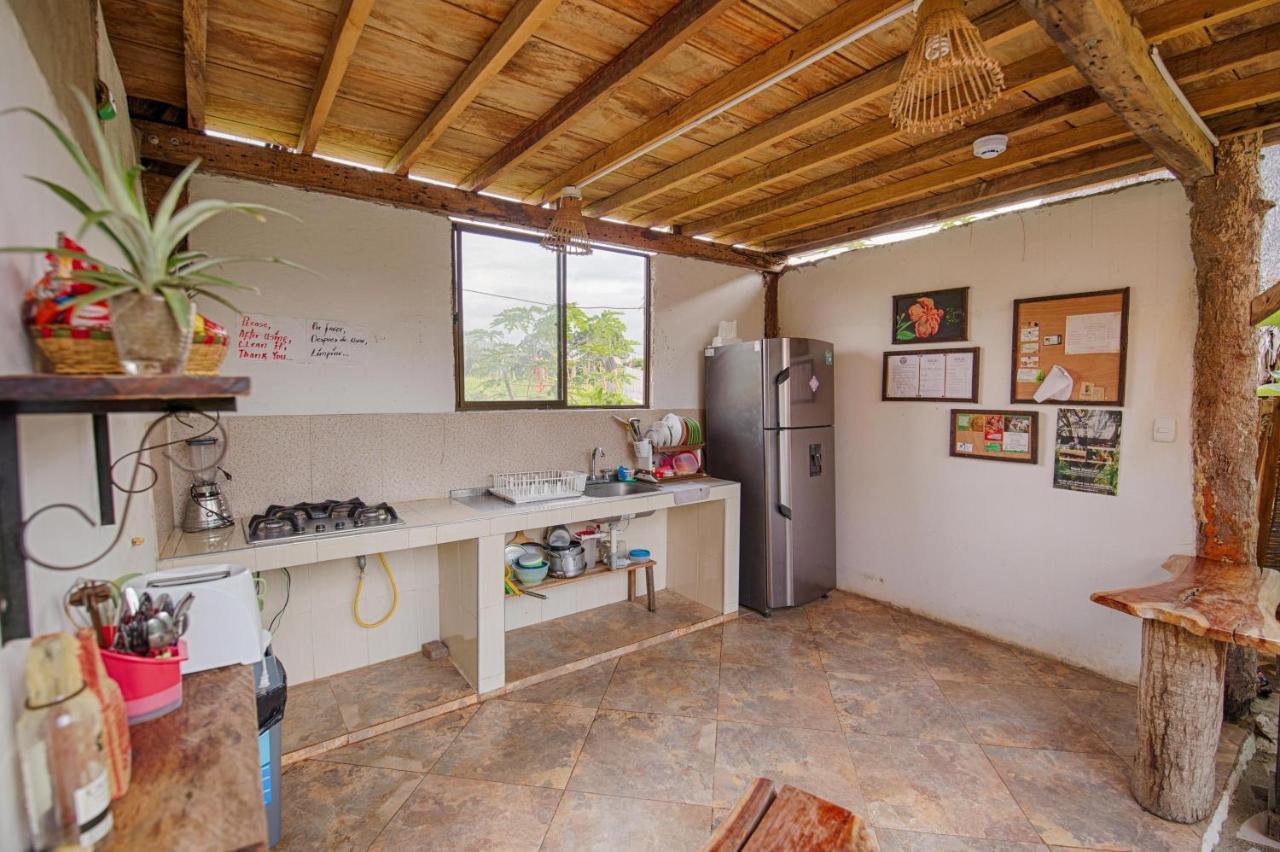 Bella Flor Hostel Palomino Exterior photo