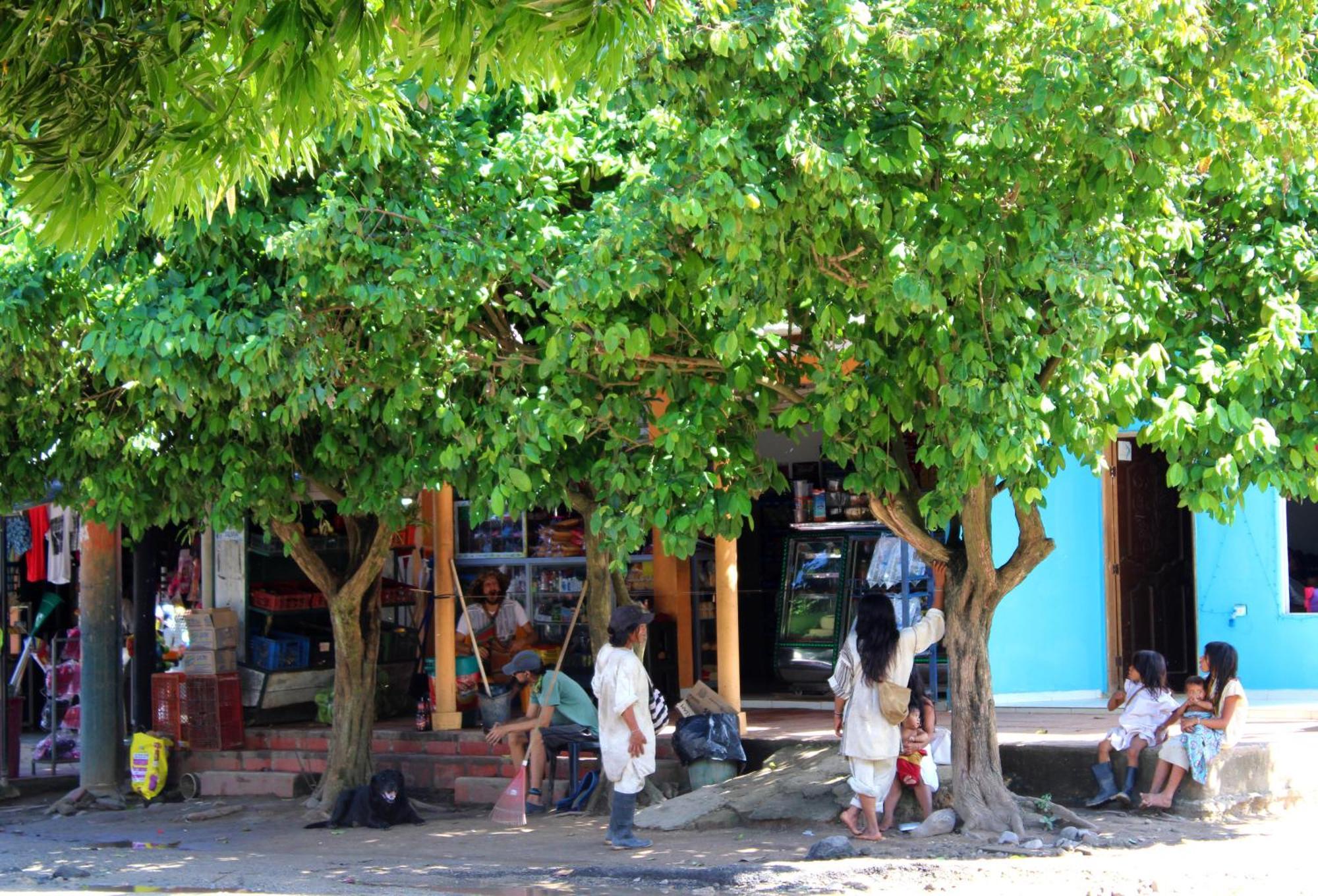 Bella Flor Hostel Palomino Exterior photo